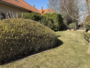 481967686-658899876550223-1010454105337029452-n-1290x968